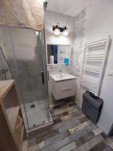 une salle de bain avec douche et lavabo dans l'établissement Studio Fontaine, à Niort 14 autres photos