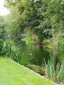 Φυσικό τοπίο κοντά σε αυτή η παραθεριστική κατοικία