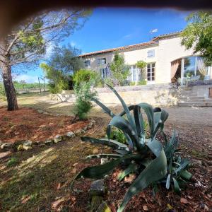 Zahrada ubytování au petit chai