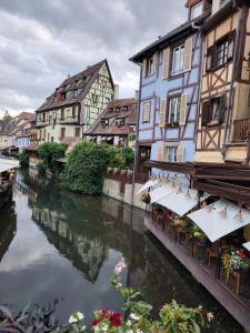 a river in a town with houses and buildings at Au Chat l'Heureux in Mackenheim