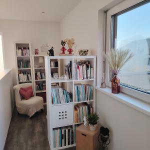 a book shelf filled with books next to a window at Au Chat l'Heureux in Mackenheim