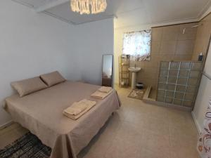 a small bedroom with a bed and a shower at cabanita Celeste in Boca Chica +9 photos