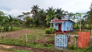 a small house in a field next to a fence at cabanita Celeste in Boca Chica