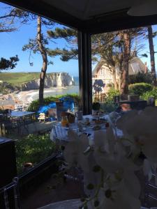 Příroda nedaleko bed and breakfast + 7 fotografií