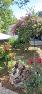 Gallery image of Alquiler apto piriapolis in Piriápolis