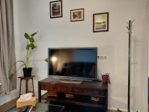 un téléviseur à écran plat posé sur un centre de divertissement en bois dans l'établissement Logies De Lelie - Antwerpen Zuid, à Anvers