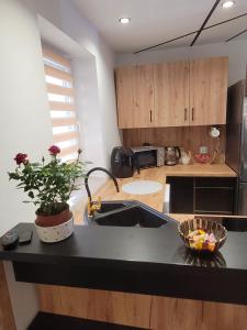a kitchen with a sink and a counter top at Rose in Bielawa +4 photos