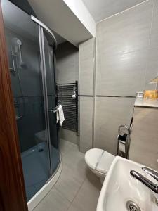 een badkamer met een douche, een toilet en een wastafel bij Penzion Laskala in Tišnov
