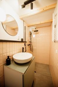 ノヴァ・ヴァロシュにあるKuća na drvetu - Zlatar Hill - Treehouseの洗面台と鏡のあるバスルーム +32枚の写真