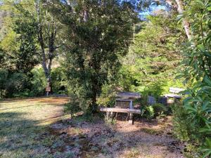 Φωτογραφία από το άλμπουμ του Refugio del bosque σε Τσαϊτέν