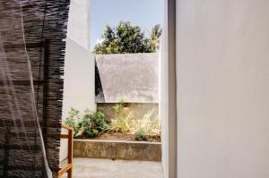 Zahrada ubytování Malkoha Studios