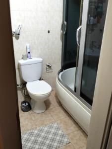 Koupelna v ubytování Будинок біля басейну