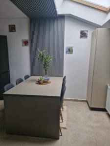 Fotografie z fotogalerie ubytování Casa Teodorei 