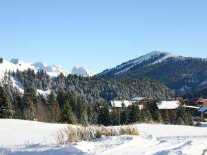 Studio cosy au cœur du village pour 4 pers, proche pistes - FR-1-815-43 في لو براز دي ليس: منتجع التزلج في الثلج مع الجبال في الخلف