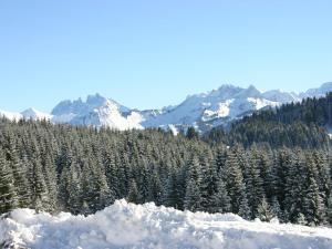 Studio cosy au cœur du village pour 4 pers, proche pistes - FR-1-815-43 في لو براز دي ليس: غابة مغطاة بالثلج مع جبال في الخلفية +صورة واحدة