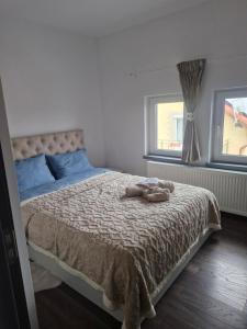 Postel nebo postele na pokoji v ubytování Casa Teodorei