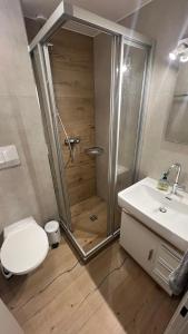 Ένα μπάνιο στο Mellau Appartments 220