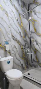 een badkamer met toilet en douche met wand bij Apartment TunHomeDom Vagharshapat Armenia in Vagharshapat