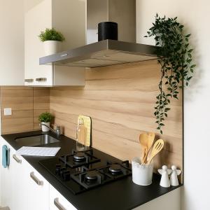 Η κουζίνα ή μικρή κουζίνα στο Somptueux appartement - Besançon