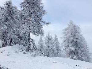 a group of snow covered trees on a snowy hill at Casa d'Alpe -Boutique apartment Chaberton view in San Sicario