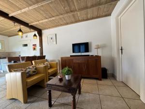 ein Wohnzimmer mit Sofa und Fernseher in der Unterkunft Maison Annelore in Saint-Honoré-les-Bains