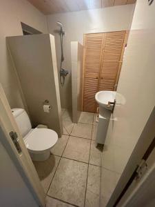 ein Badezimmer mit Toilette und Waschbecken in der Unterkunft Maison Annelore in Saint-Honoré-les-Bains