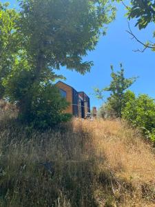 a train on a hill with trees and grass at In the Wild Volcano Sea Side 