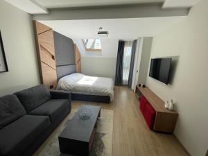 Μια τηλεόραση ή/και κέντρο ψυχαγωγίας στο Escape Panorama Apartmani Tara