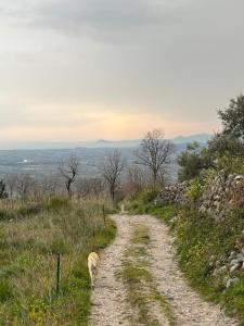 Galería fotográfica de In the Wild Volcano Sea Side 