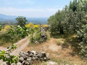 Galería fotográfica de In the Wild Volcano Sea Side 