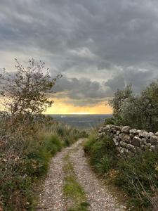 Galería fotográfica de In the Wild Volcano Sea Side  51 fotos más