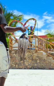 Hosté ubytování Zen-Zanzibar Beach Front Villa