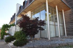 WangenにあるPension Lindeの前に木がある建物