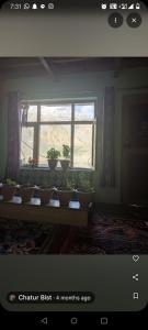 a window with a bunch of potted plants on a table at Home stay in Kaza