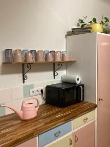 Kuchyň nebo kuchyňský kout v ubytování Ferienhaus zur alten Zeder + 14 fotografií