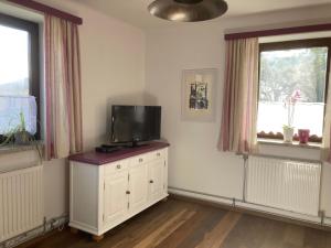 TV a/nebo společenská místnost v ubytování Ferienhaus zur alten Zeder