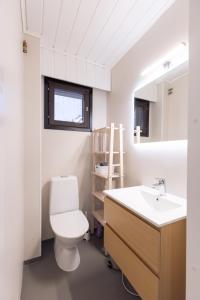 a bathroom with a toilet and a sink and a mirror at Teddy's Hideout in Rovaniemi