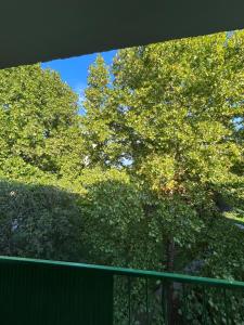 Κήπος έξω από το City-Centre appartment +2 φωτογραφίες