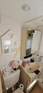 a bathroom with a sink and a mirror at Les Tournesols in Middelkerke