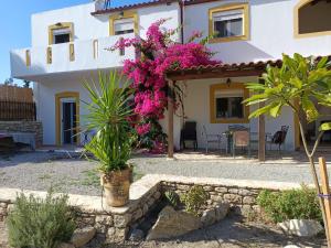 ピツイディアにあるPalatinos IIのピンクの花の家