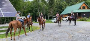 Loomad puhkemaja aladel või selle läheduses