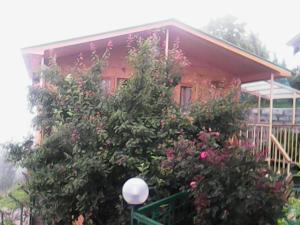 Gallery image of Snow King Retreat- Himalayan view , Revolving Restaurant , Pinewood Cottages , Huts , Villas , Rooms , Hydro Pool , Karaoke Music , DJ Night in Kūfrī