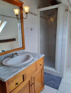 a bathroom with a sink and a mirror and a shower at Colocation in Trignac