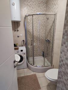 Koupelna v ubytování Dunja Doboj