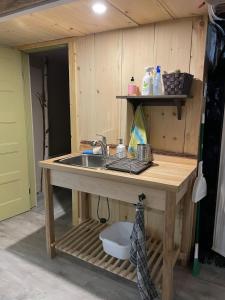 een aanrecht met spoelbak in een kamer bij La forêt nourricière in La Tuque +47 foto's