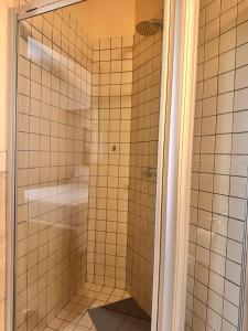 a shower with a glass door in a bathroom at Swanky Spectacular Hotel in Johannesburg +15 photos