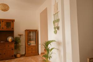 a room with a hallway with plants and a cabinet at Casa del Agua - Escapada rural con chimenea y vistas a Sierra Nevada in Abrucena