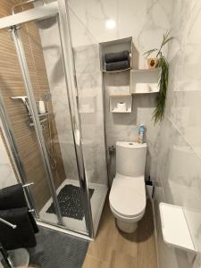 a bathroom with a shower and a toilet in it at L'horizon De Coursan in Coursan