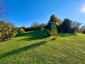 un champ vert avec un arbre au milieu dans l'établissement B&BCB - B&B Colli Berici, à Perarolo