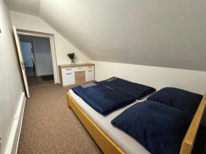 1 dormitorio con 2 camas y almohadas azules en Chata Vápenná, en Jeseník